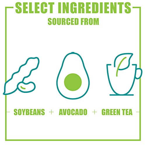 Nutramax Laboratories Dasuquin with MSM Joint Health Supplement for Large Dogs Nutramax Laboratories