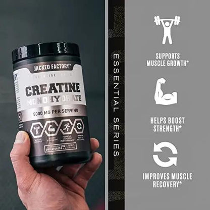 Nitrosurge Pre-Workout & Creatine Monohydrate - Pre Workout Powder With Creatine for Muscle Growth, Increased Strength, Endless Energy, Intense Pumps - Watermelon Preworkout & Unflavored Creatine