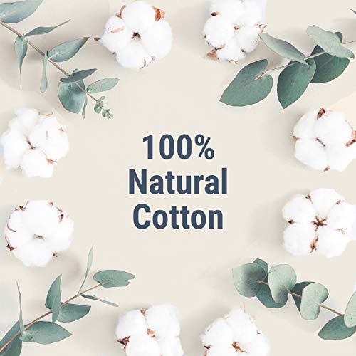 Veeda 100% Natural Cotton Applicator Free Tampons, 16 Count Super Absorbency unscented Veeda