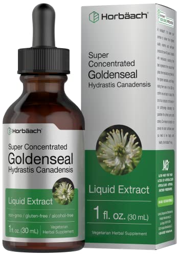 Goldenseal Root Extract Liquid | 1 fl oz Tincture | Super Concentrated | Alcohol Free 