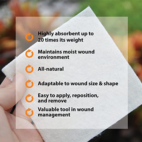 Pivot Calcium Alginate Wound Dressing – All-Natural First Aid | 4x5 Dressin LMP LINKS MEDICAL PRODUCTS INC.