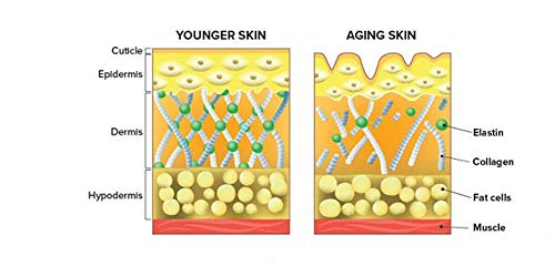 Herbal Magic's Pure & Natural Blend - Collagen Builder Capsules x 60 - Made from 17 Fruits Herbal Magic