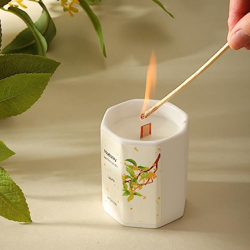 Modoray Scented Candle, Candles for Home Scented, Aromatherapy Candle，Long Lasting Natural Modoray