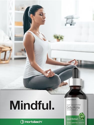 Gotu Kola Extract | 2 fl oz | Alcohol Free | Super Concentrated Liquid Herb Supplement Horbäach