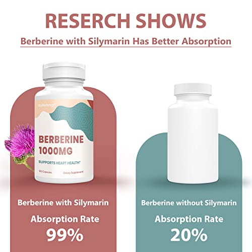 KoNefancy Berberine HCL Supplement 1000mg, High Absorption Berberine Plus Vegan Cap KoNefancy