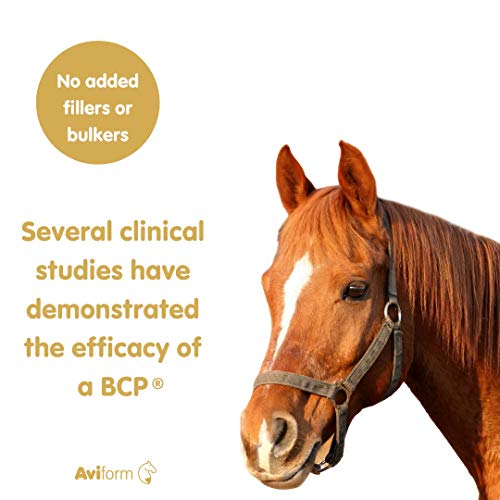 Aviform SUPPLEAZE PROGEN Horse Joint Supplement with Hydrolysed Collagen 1kg Aviform