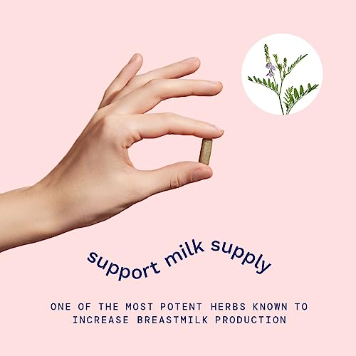 Goat's Rue Lactation Supplement For Increased Breast Milk, Lactation Supplement Mommy Knows Best