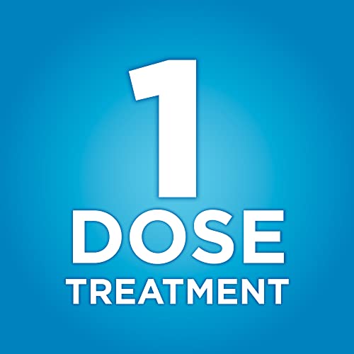 Amazon Basic Care Tioconazole Ointment 6.5 Percent, Vaginal Antifungal, 1-Dose Treatment Amazon Basic Care