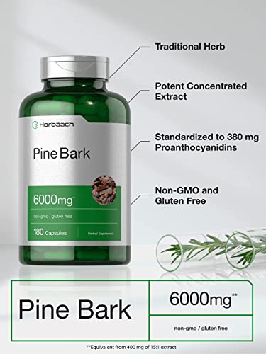 Pine Bark Extract | 6000 mg | 180 Capsules | Standardized to Contain 380 mg Proanthocyan Horbäach