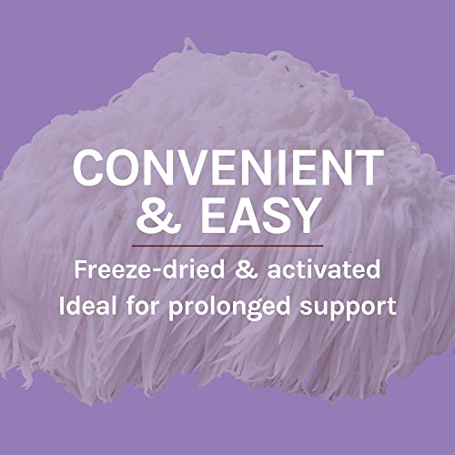 Host Defense, Lion's Mane Capsules, Promotes Mental Clarity, Focus and Memory Host Defense