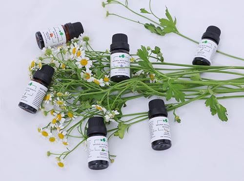 Essential Oils Set 100% Pure Natural DR.NITTA Top 6 Oils for Massage,Diffusers,Humidifier DR.NITTA