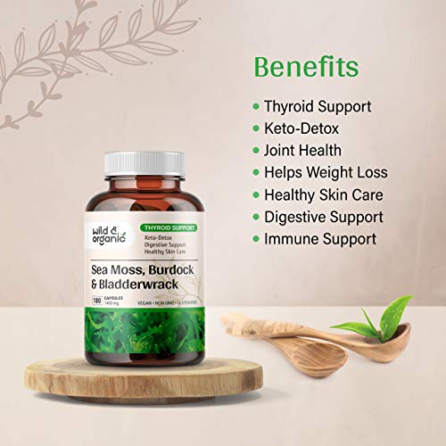 Sea Moss Capsules - 180 Caps Wildcrafted Irish Moss, Burdock Root & Bladderwrack Wild & Organic