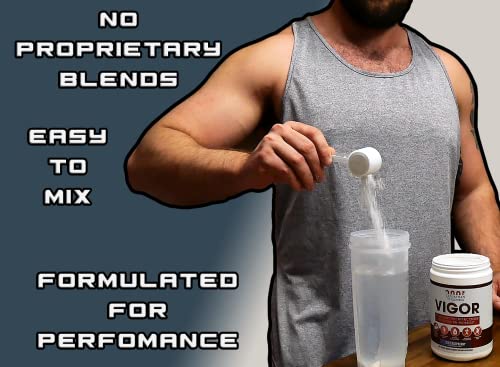 Leviathan Wellness Vigor - Stimulant Free, Nitric Oxide Boosting Pre-Workout Powder Leviathan Wellness