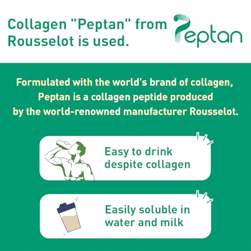 Muscle Colllagen Protein Collagen Peptides Powder Chocolate Flavored Dietary Supplement Muscle Collagen