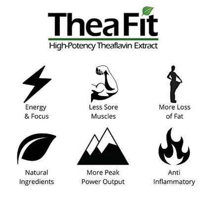 WORKOUT Coffee - Patented Ingredients for Pre-Workout Energy and Post-Workout Recovery - Informed Sport Certified - All Natural Medium Roast - 12oz Ground