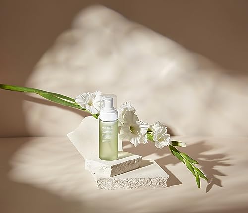 HUECALM Pure & Balancing Feminine Wash, Low pH Balance, Vegan, Korean Beauty Product HUECALM