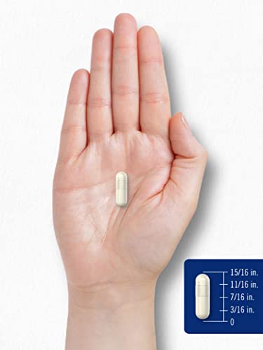 Carlyle Chitosan Supplement 1200mg | 120 Quick Release Capsules | Non-GMO Carlyle