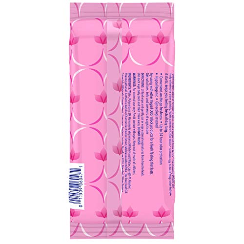 Vagisil Odor Block Daily Freshening Wipes for Feminine Hygiene in Resealable Pouch Vagisil