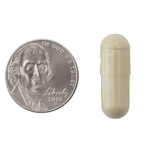 Natrol Carb Intercept with Phase 2 Carb Controller Capsules, White Kidney (Pack of 12) Natrol