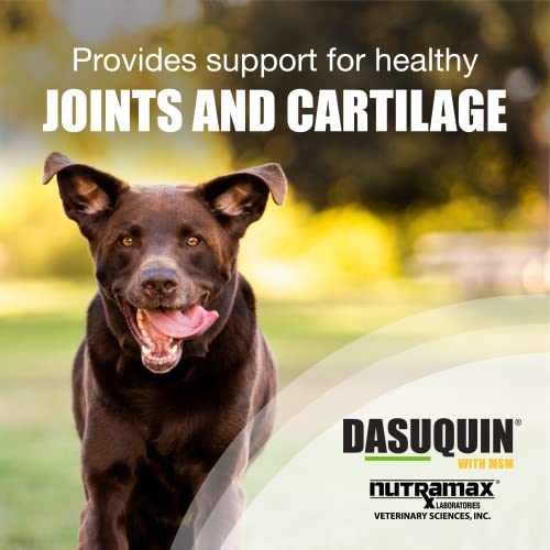 Nutramax Laboratories Dasuquin with MSM Joint Health Supplement for Large Dogs Nutramax Laboratories