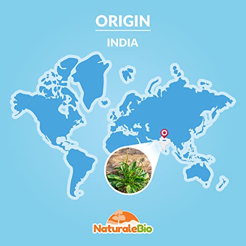 Organic Psyllium Husk - 99% Purity - 200g. Pure & Natural Psyllium Seed Husks NaturaleBio