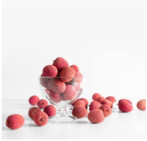 EVERYDAZE BT21 Essential C’s Collagen + Vitamin C Konjac Jelly | Vegan, 10 Calories E EVERYDAZE