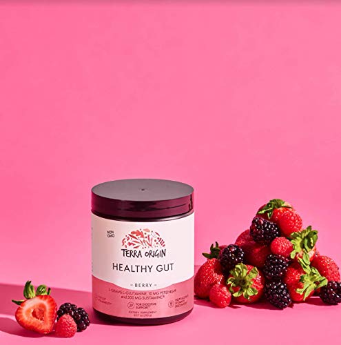 TERRA ORIGIN Healthy Gut Powder (Berry Flavor) |30-Servings with L-Glutamine, Zinc TERRA ORIGIN