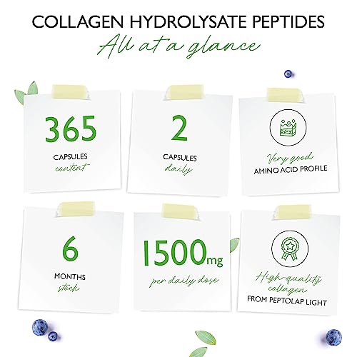 Collagen - 365 Capsules - 1500 mg per Daily Serving - Premium: 100% Bovine Collagen Vit4ever