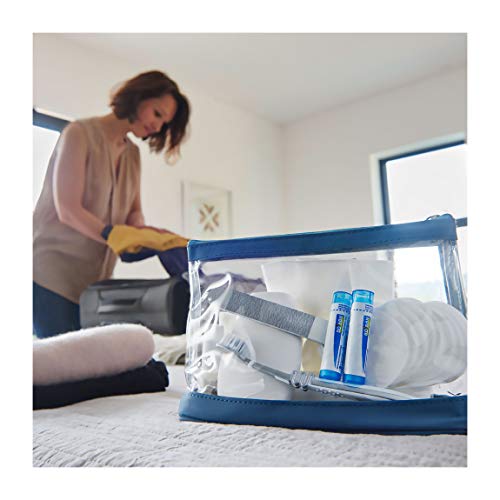 Boiron Histaminum Hydrochloricum 6C 80 Pellets Homeopathic Medicine for Allergy Relief Boiron