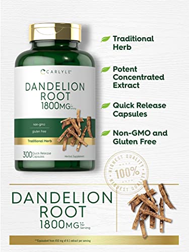Carlyle Dandelion Root Capsules 1800mg | 300 Count | Non-GMO, Gluten Free Carlyle