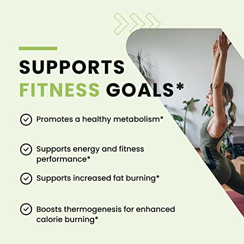 Green Tea Weight Loss Pills with Green Coffee Bean Extract | Belly Fat Burner, Metabolism Nobi Nutrition