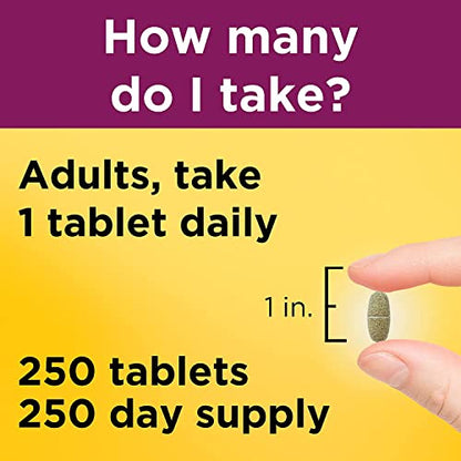 Nature made prenatal vitamin 90ct