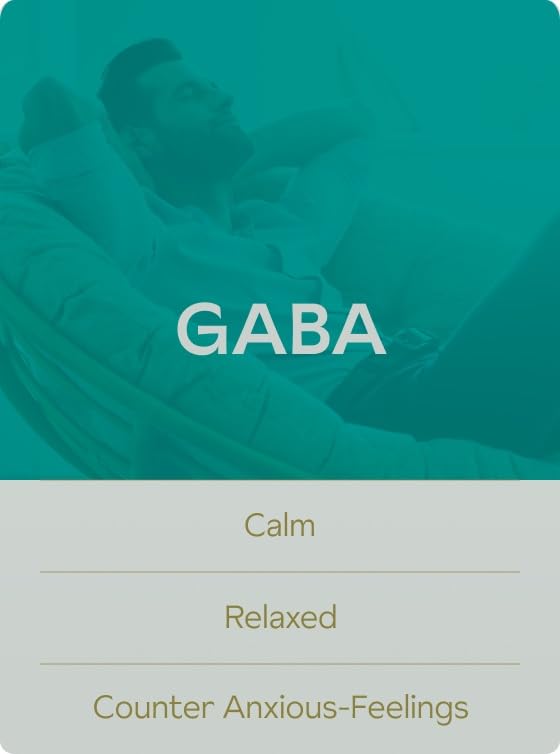 AshwaMag, 5 Clinically Studied Ingredients: Organic & Patented Ashwagandha, 2 Forms AshwaMag