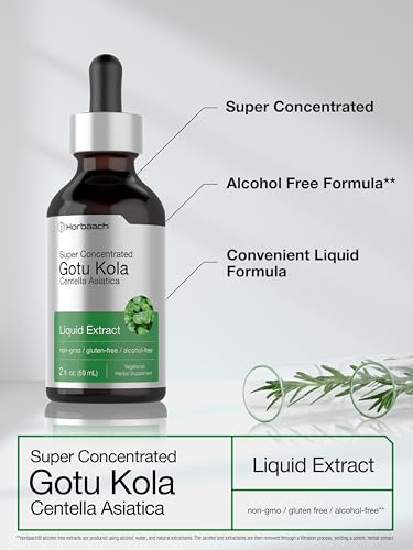 Gotu Kola Extract | 2 fl oz | Alcohol Free | Super Concentrated Liquid Herb Supplement Horbäach