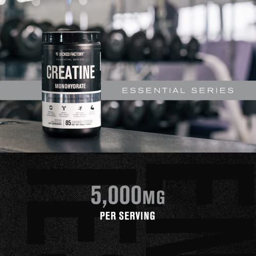 Jacked Factory Creatine Monohydrate Powder 425g - Creatine Supplement for Muscle Jacked Factory