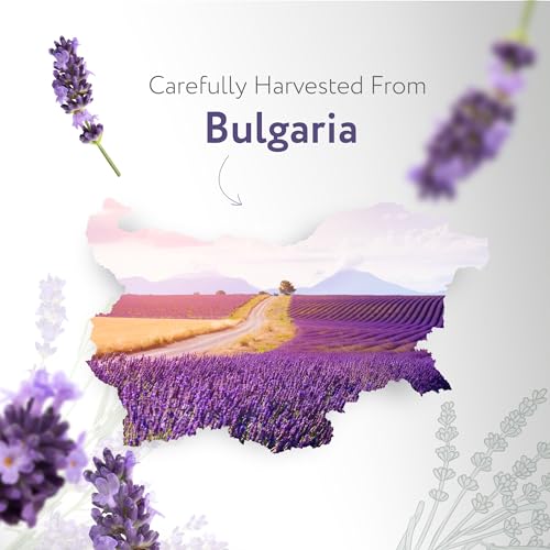 HBNO Organic Lavender Essential Oil - 1 oz (30ml) Value Size - USDA Certified Organic Lavender HBNO