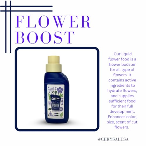 Chrysal Cut Flower Universal Food (10 ml/L Bottle) — Increase The Flower Boost with Floral Supplies Chrysal