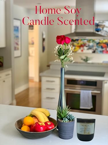 Sandalwood Bourbon Non-Toxic Candles | Natural Candles for Men |Aromatherapy Candle Relaxing Terreux Mind & Body