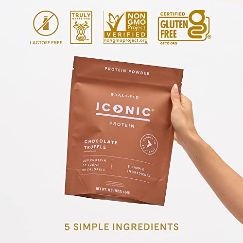 ICONIC Protein Powder, Chocolate Truffle - Sugar Free, Low Carb Protein Powder ICONIC