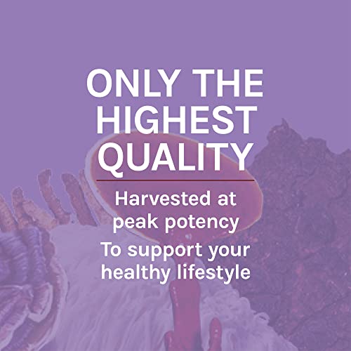 Host Defense, Lion's Mane Capsules, Promotes Mental Clarity, Focus and Memory Host Defense