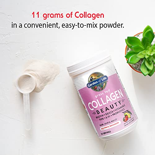 Garden of Life Grass Fed Collagen Beauty - Strawberry Lemonade, 20 Servings - Collagen Garden of Life
