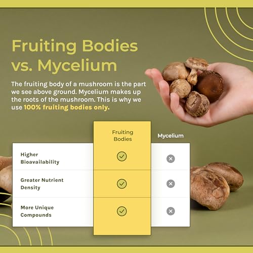 Naturealm Sacred 7 Mushroom Extract Capsules - Chaga, Cordyceps, Lion's Mane Naturealm