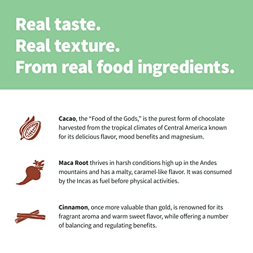 Sprout Living Epic Protein, Plant Based Protein & Superfoods Powder, Chocolate Maca Sprout Living