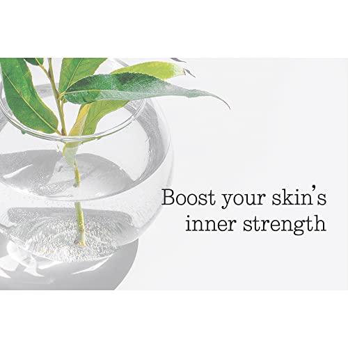 Pyunkang Yul Low pH Feminine Wash with Green Tea, Cica, Moisturizing for Women Vaginal Health Pyunkang Yul