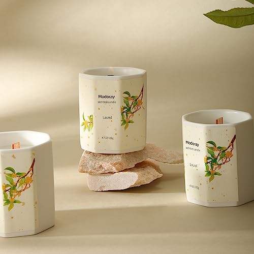 Modoray Scented Candle, Candles for Home Scented, Aromatherapy Candle，Long Lasting Natural Modoray