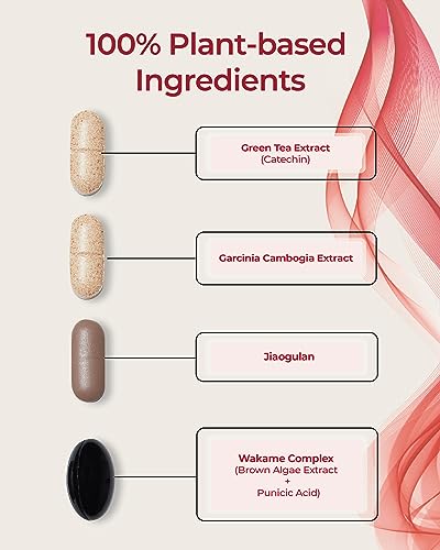 FOODOLOGY Burningology D-Day (Pack of 1, 10 Days) - Jiaogulan, Wakame Complex, Green Tea Extract FOODOLOGY