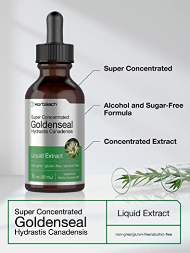 Goldenseal Root Extract Liquid | 1 fl oz Tincture | Super Concentrated | Alcohol Free Horbäach