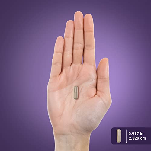 Piping Rock Detox Cleanse Capsules | 240 Pills | Herbal Complex | Lean Formula Piping Rock