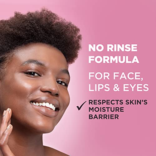 Garnier SkinActive Micellar Water for All Skin Types, Facial Cleanser & Makeup Remover Garnier