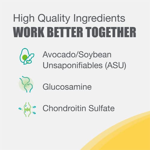 Nutramax Laboratories Dasuquin with MSM Joint Health Supplement for Large Dogs Nutramax Laboratories